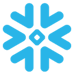 Type=Technology, Size=S, Label=Snowflake