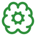 brain-cog