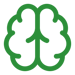 brain
