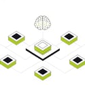 brain (1)