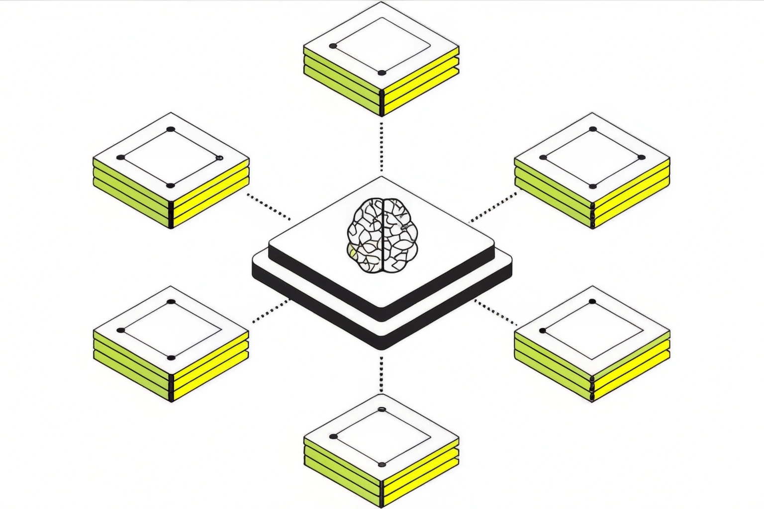 brain