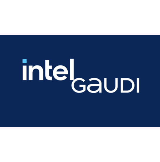 related-component-icon-for-Intel Gaudi-component