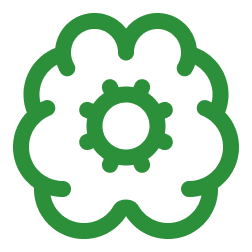 brain-cog